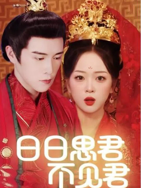 Nhớ Em Mỗi Ngày